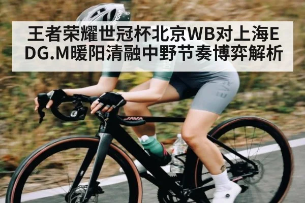 王者荣耀世冠杯北京WB对上海EDG.M暖阳清融中野节奏博弈解析